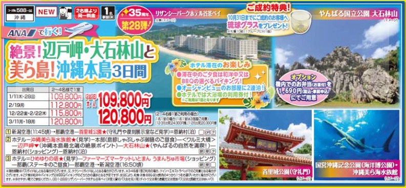 くれよん　ANAで行く！絶景！辺戸岬・大石林山と美ら島！沖縄本島３日間