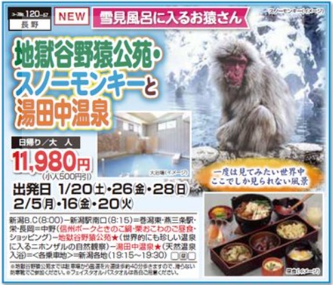 くれよん　地獄谷野猿公苑・スノーモンキーと湯田中温泉　日帰り