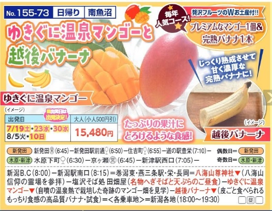 新潟交通様企画　くれよん　ゆきぐに温泉マンゴーと越後バナーナ　日帰り