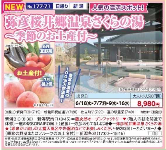 新潟交通様企画　弥彦桜井郷温泉さくらの湯～季節のお土産付～　日帰り