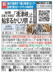 旅っくす 秘境！日本三大渓谷「清津峡」と魚野川鮎まるかじり祭 日帰り