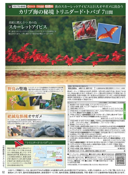 クラブツーリズム【Y8170】カリブ海の秘境トリニダード・トバゴ 7日間