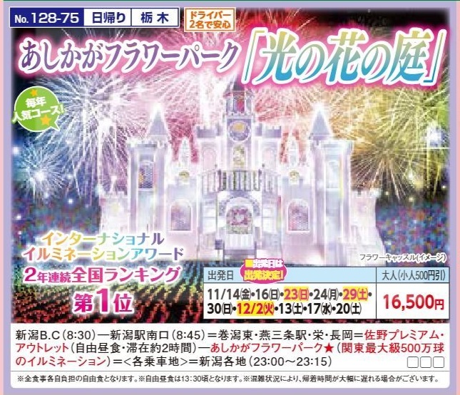 新潟交通様企画　くれよん　あしかがフラワーパーク「光の花の庭」　日帰り
