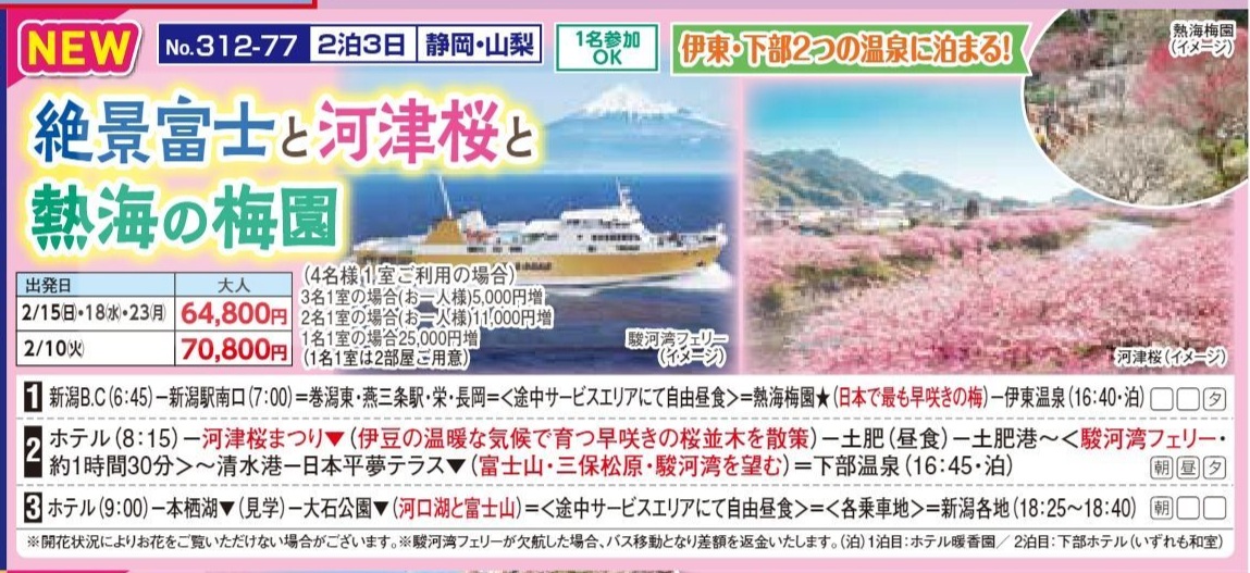 新潟交通様企画 くれよん 絶景富士と河津桜と熱海の梅園 2泊3日