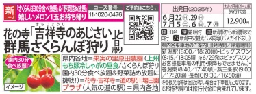 旅っくす 花の寺「吉祥寺のあじさい」と群馬さくらんぼ狩り日帰り
