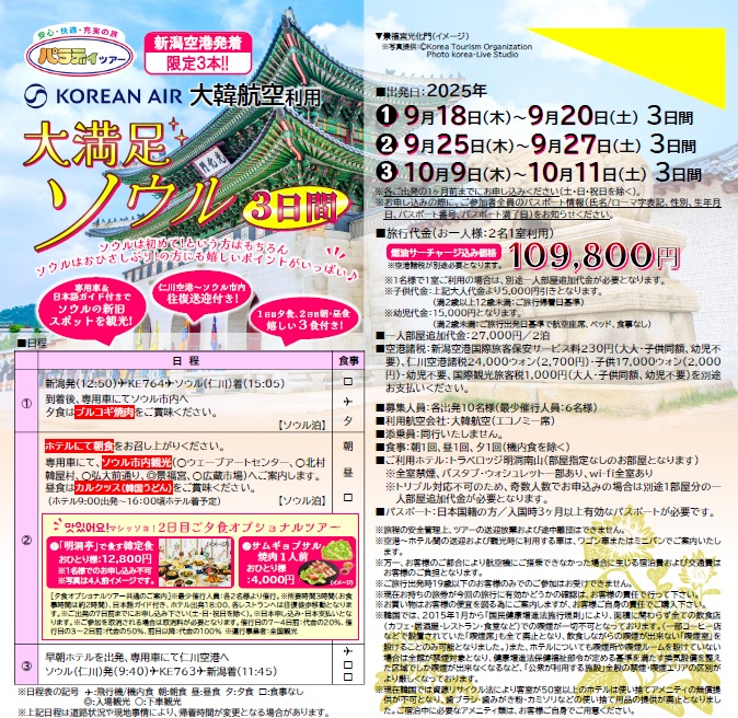 パラディツアー　新潟空港発着　大満足ソウル 3日間