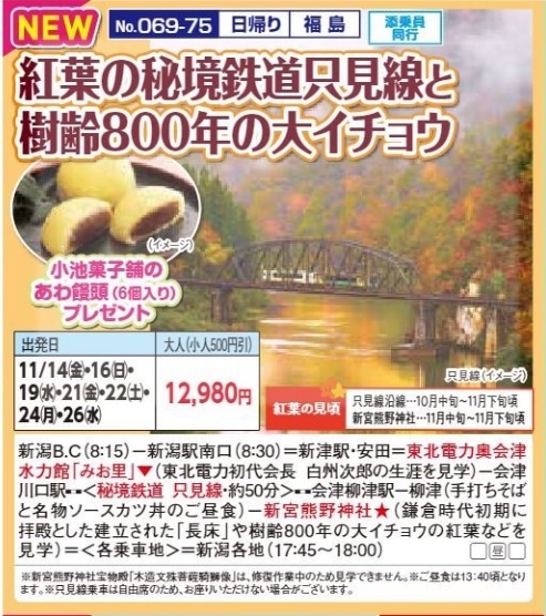 新潟交通様企画　くれよん　紅葉の秘境鉄道只見線と樹齢800年の大イチョウ　日帰り