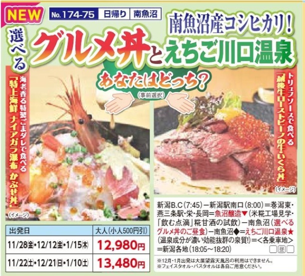 新潟交通様企画　くれよん　南魚沼産コシヒカリ！選べるグルメ丼とえちご川口温泉　日帰り