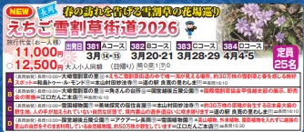 ゴールデンツアー<長岡始発>えちご雪割草街道2026 日帰り