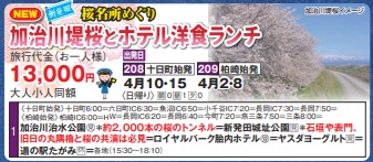 ゴールデンツアー<十日町・三条始発>加治川堤桜とホテル洋食ランチ 日帰り