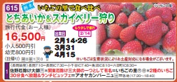 ゴールデンツアー<長岡始発>とちあいか&スカイベリー狩り 日帰り