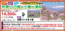 ゴールデンツアー<長岡始発>花見山公園と三春の滝桜 日帰り