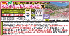 ゴールデンツアー<三条・長岡始発>高遠小彼岸桜と花桃の里 1泊2日