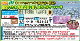 ゴールデンツアー<十日町・長岡始発>国営ひたち海浜公園とあしかがフラワーパーク 1泊2日