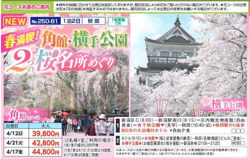 新潟交通様企画 くれよん 春満喫! 角館・横手公園2つの桜名所めぐり 1泊2日
