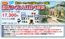 ゴールデンツアー＜三条・長岡始発＞群馬さくらんぼ食べ放題 日帰り