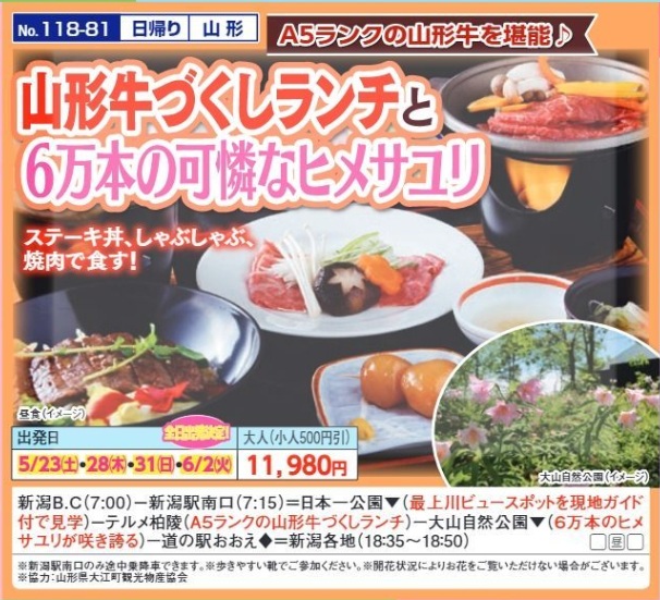 新潟交通様企画　くれよん　山形牛づくしランチと６万本の可憐なヒメサユリ　日帰り