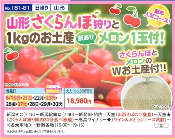 新潟交通様企画　くれよん　山形さくらんぼ狩りと１kgのお土産 訳ありメロン１玉付！　日帰り