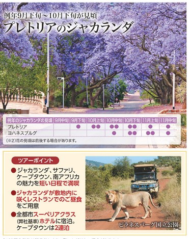 クラブツーリズムGrande【Y8555】春色♪南アフリカ6日間