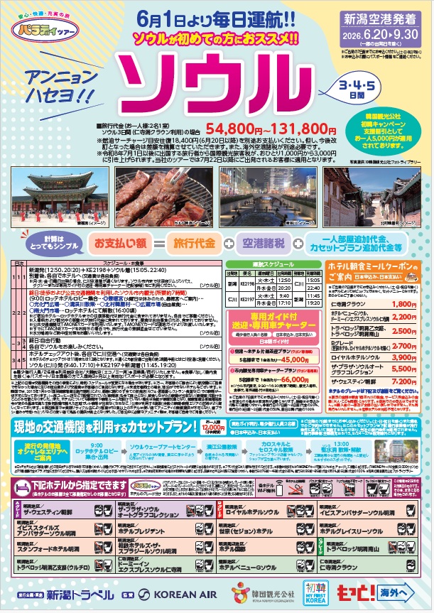 新潟トラベル様企画 パラディツアー アンニョンハセヨ!! ソウル3・4・5日間