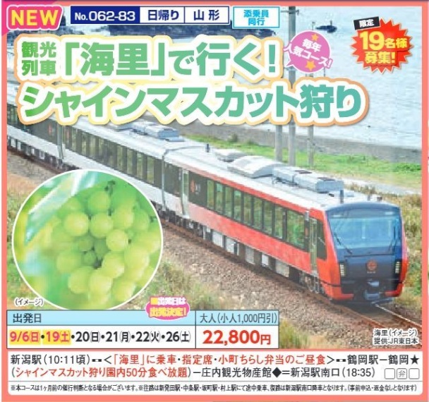 新潟交通様企画 くれよん 観光列車「海里」で行く!シャインマスカット狩り 日帰り