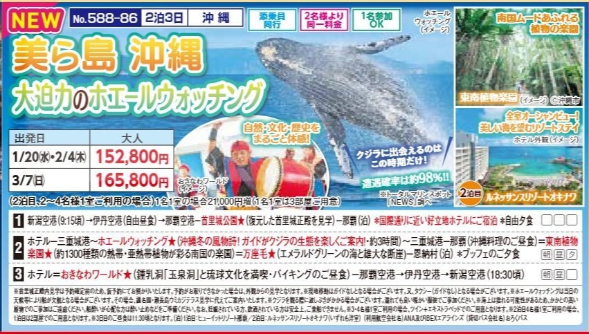 新潟交通様企画　くれよん　美ら島 沖縄 大迫力のホエールウォッチング　２泊３日