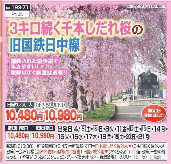 新潟交通様企画　くれよん　3キロ続く千本しだれ桜の旧国鉄日中線　日帰り